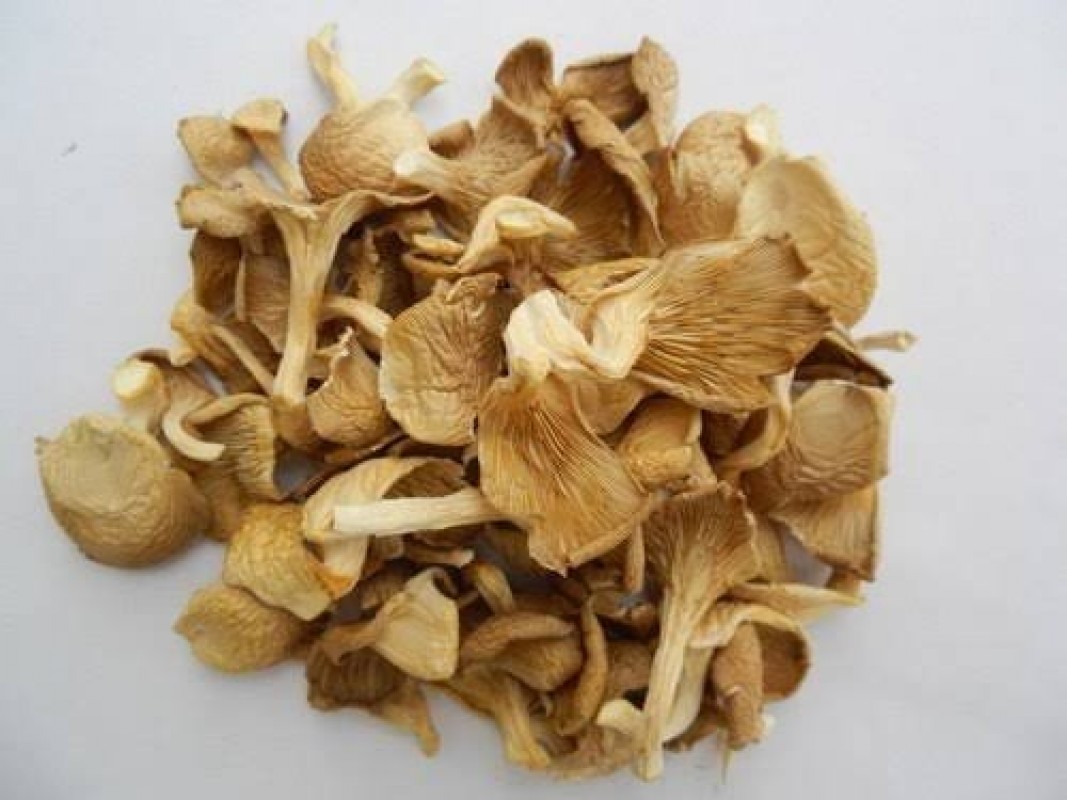 Jamur Tiram Kering from Sri Lanka