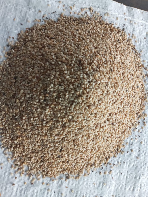 Nasiona sezamu from Sri Lanka