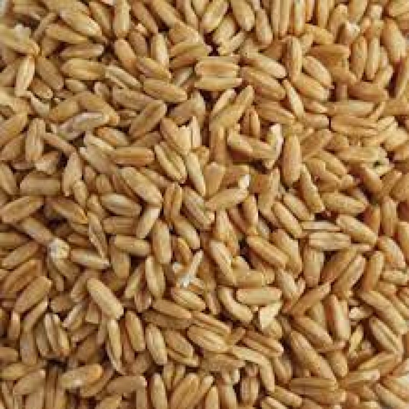 Oat groats from Lithuania