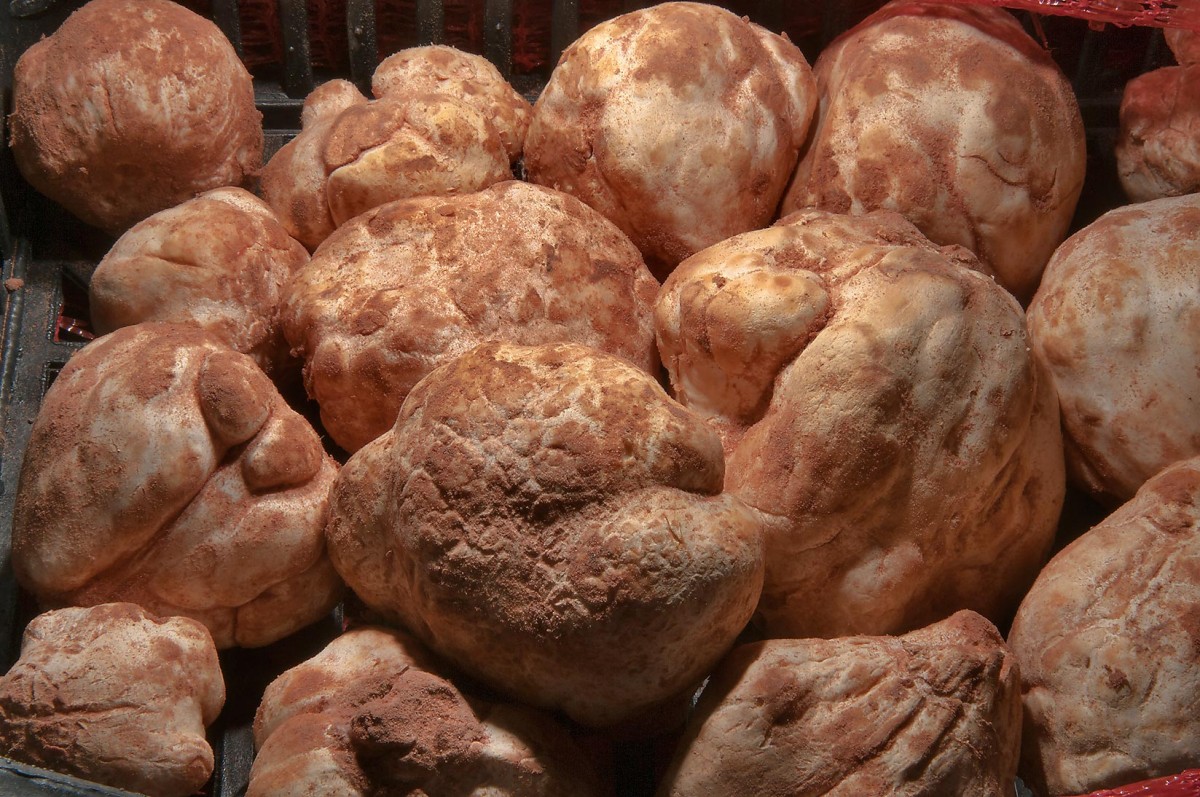 Truffels from Libië