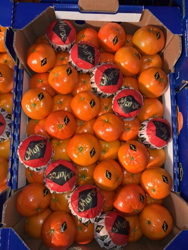 Mandarina Nadorcott from Marrocos