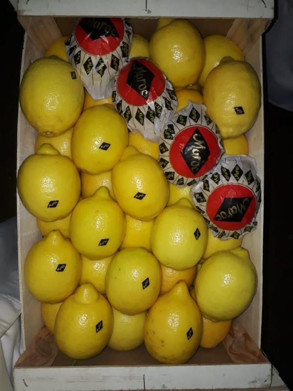 Lemon Eureka from Morocco