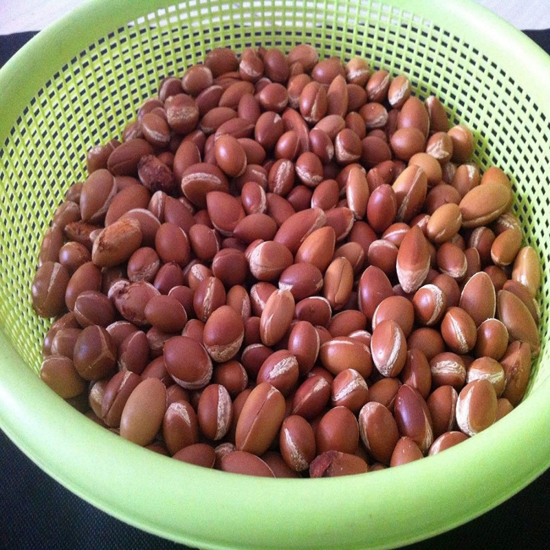 ÓLEO DE ARGAN from Marrocos