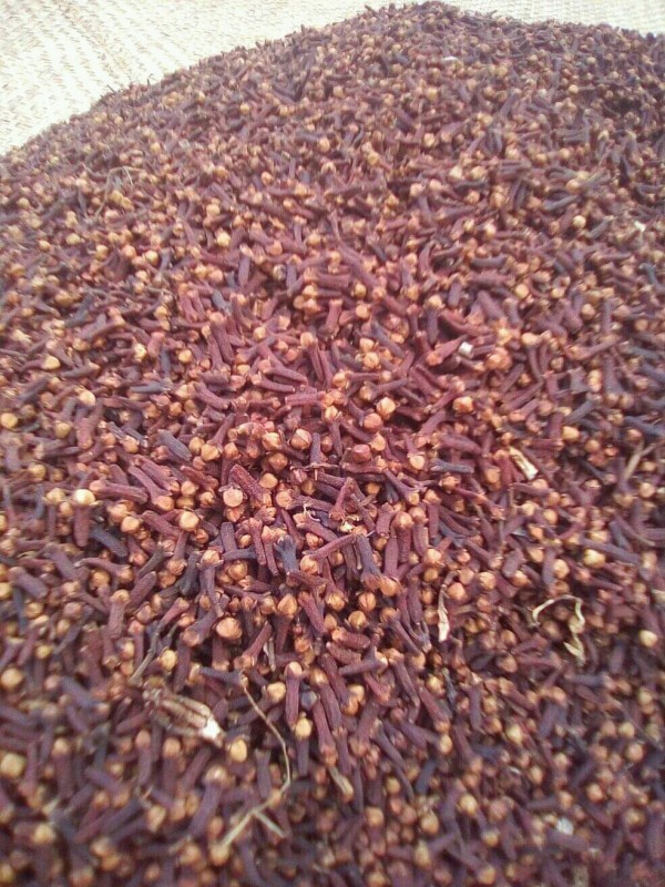 ORGANIC CLOVES from Madagascar