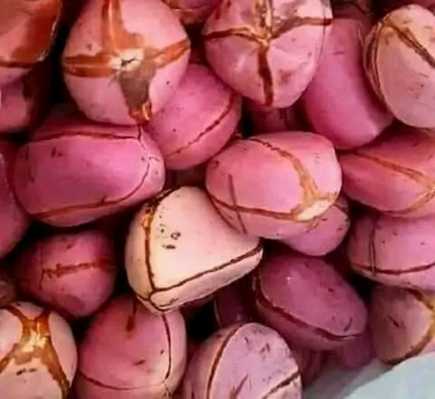 Cola from Madagaskar