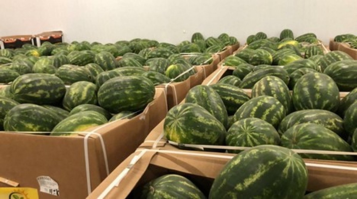 Watermelon From Mauritania from Mauritania