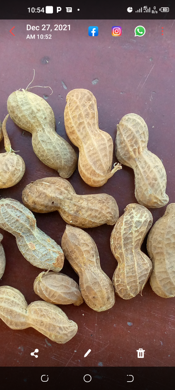 Arachides from Malawi