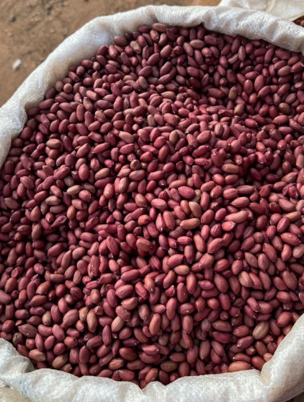Kacang Tanah Merah from Malawi