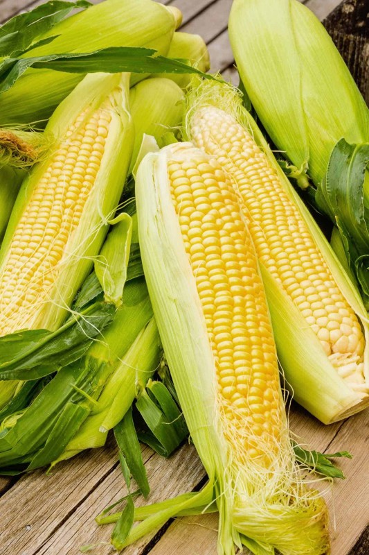 Sweet Corn From Malaysia from Malaysia