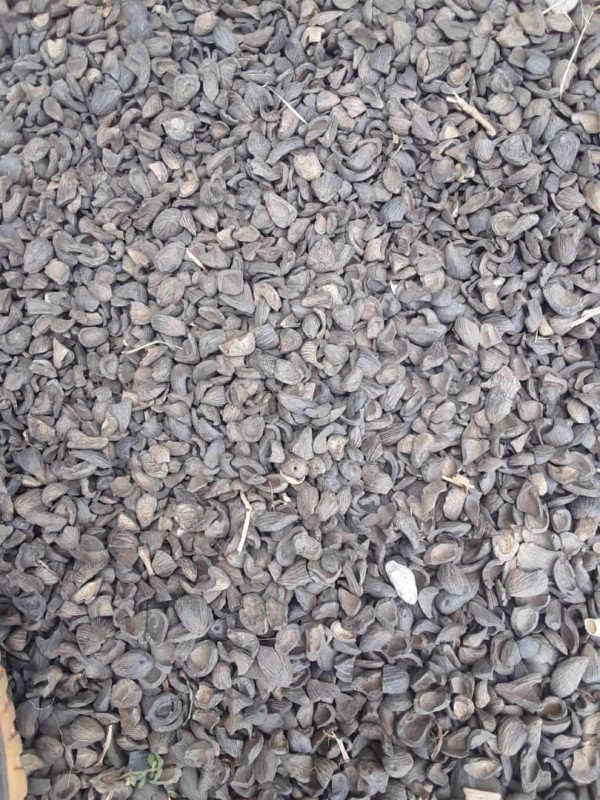 Palm kernel Shell from Nigeria