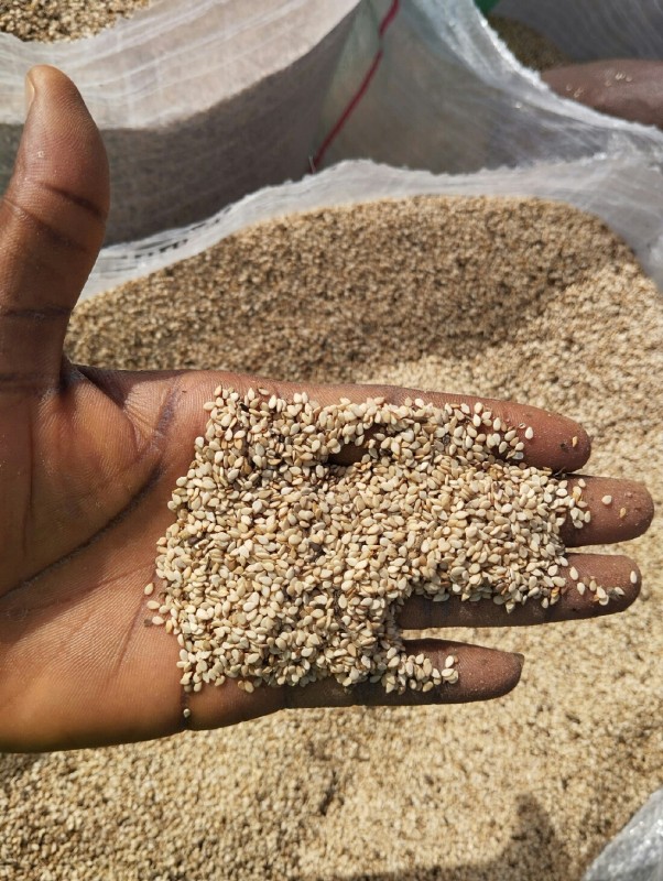 Sesamzaad from Nigeria