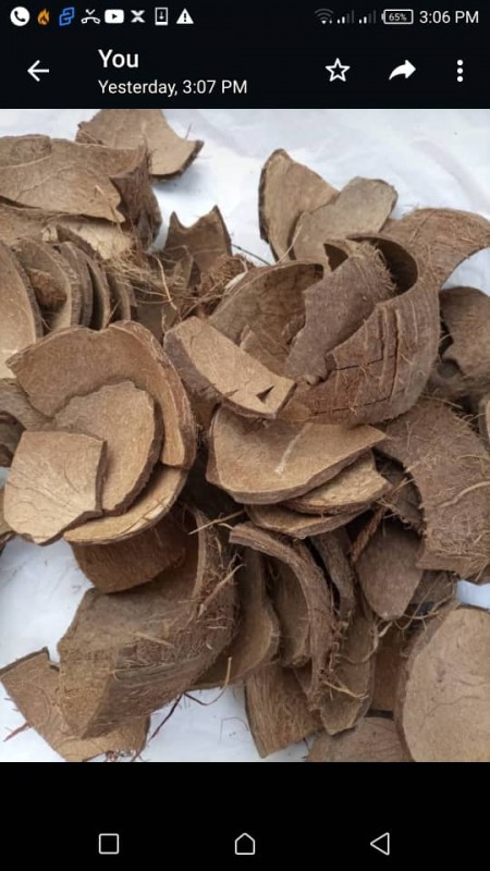 Coconut Shell from Nigeria