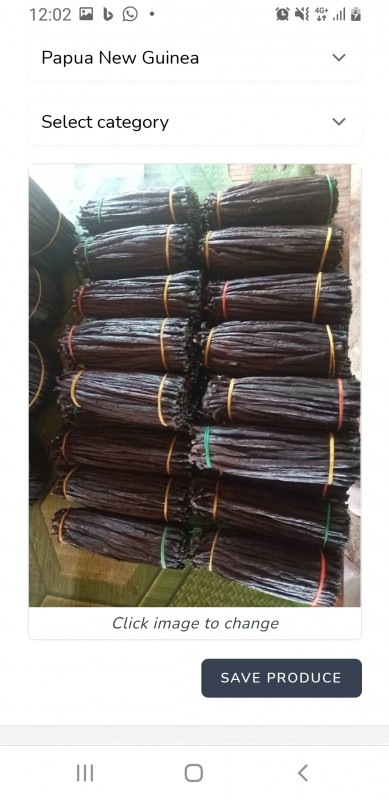 Vanilla Beans from Papua New Guinea