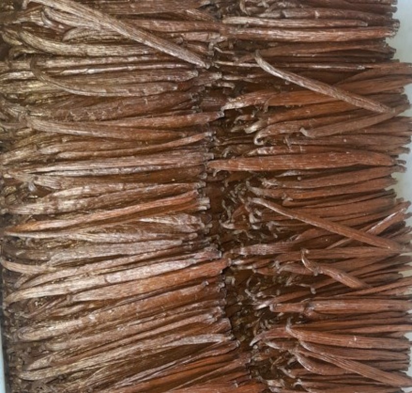 Organic Vanilla Beans from Papua New Guinea