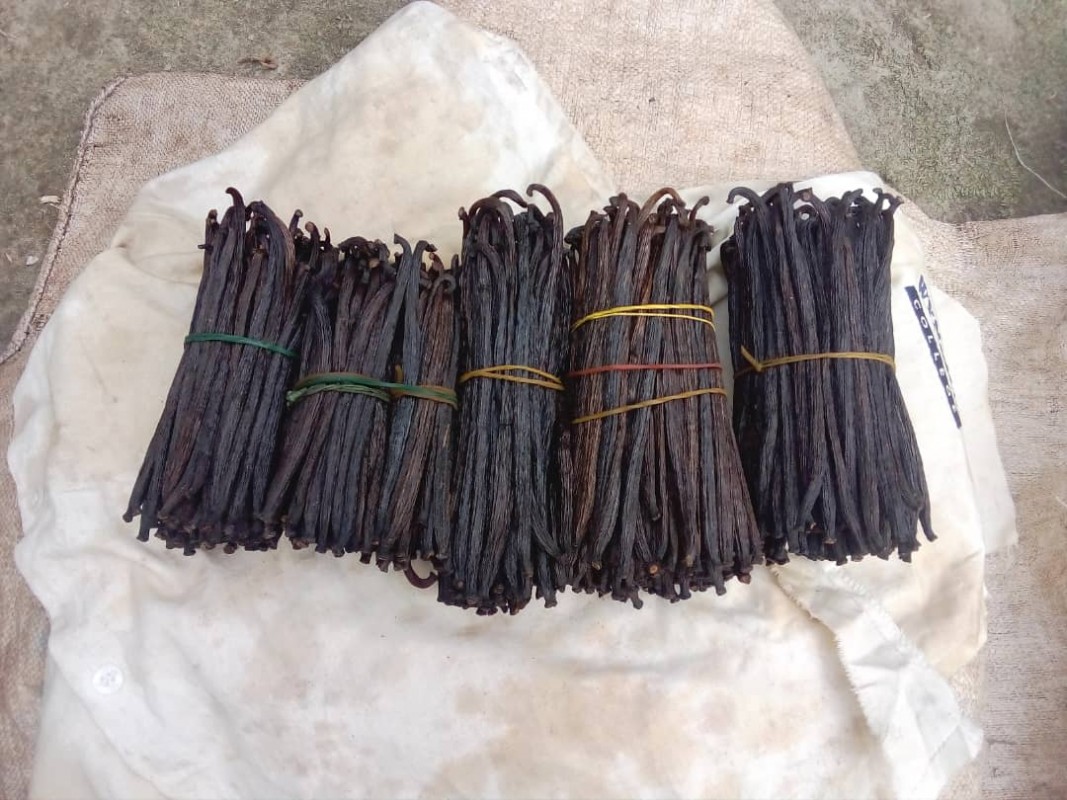 Sirip Hiu from Papua Nugini