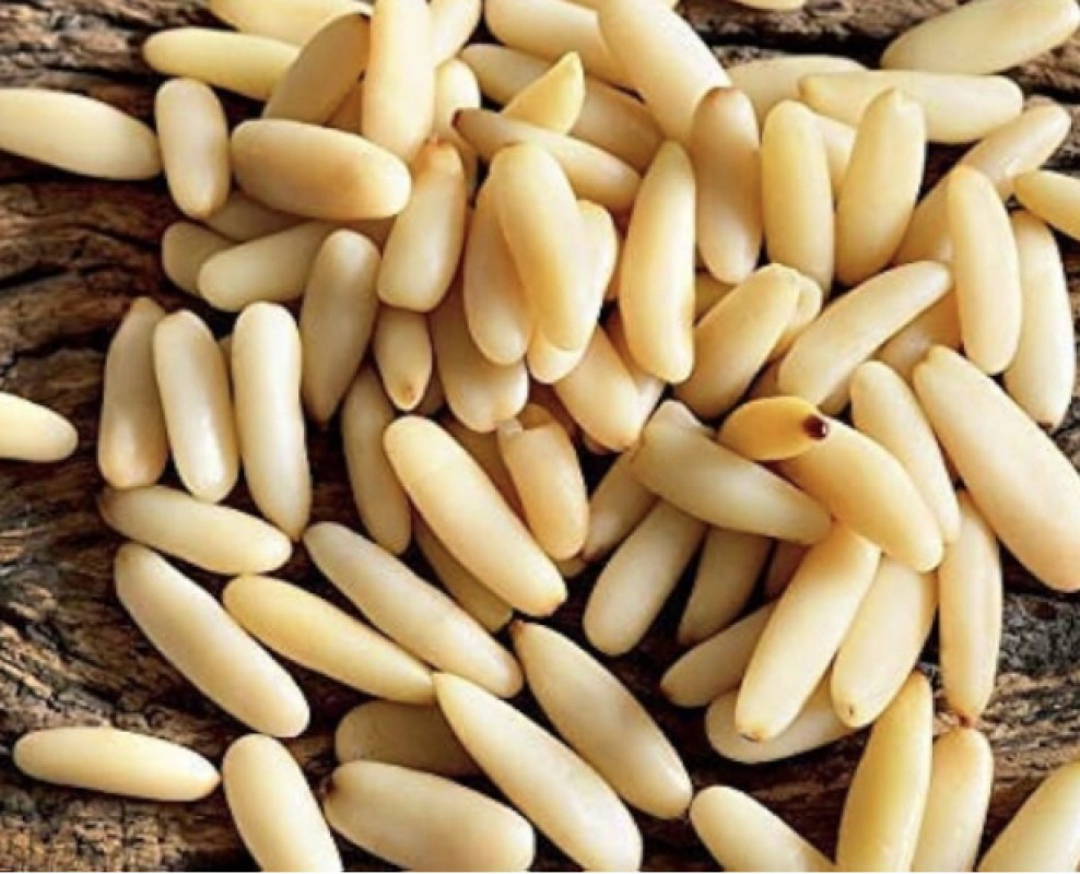 Pine Nuts from Pakistan