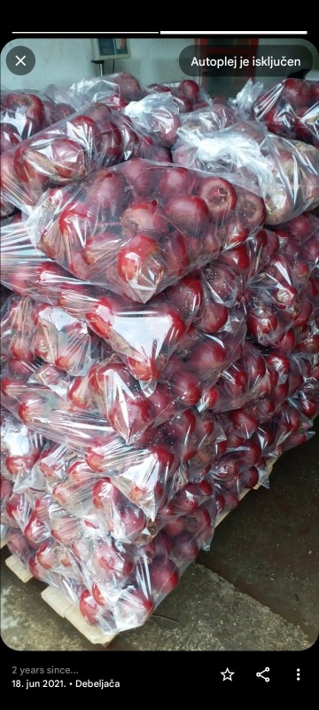 Beetroot from Serbia