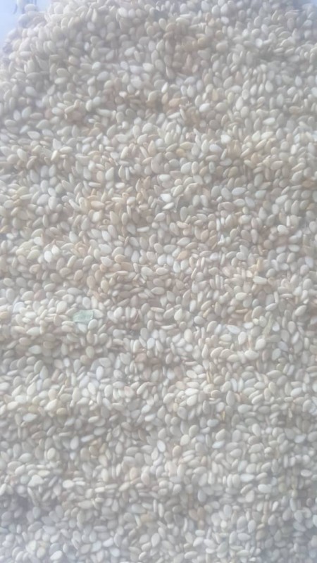 Biji wijen from Sudan
