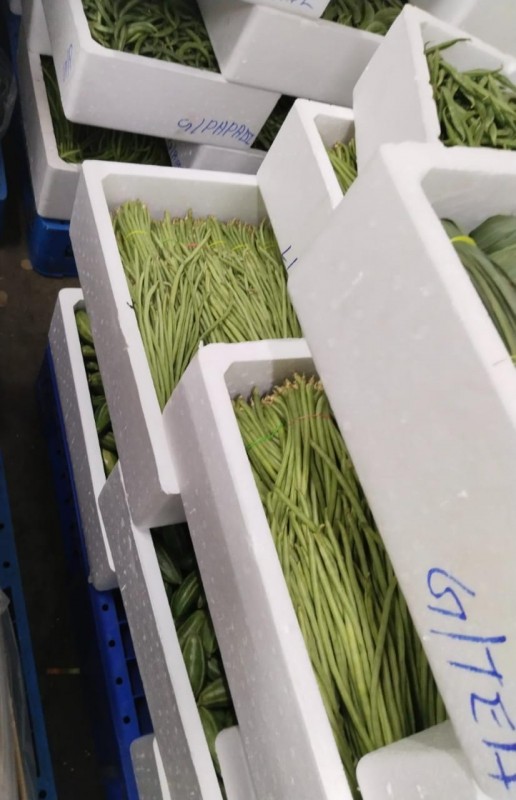 Fresh Indian vegetable from Singapore