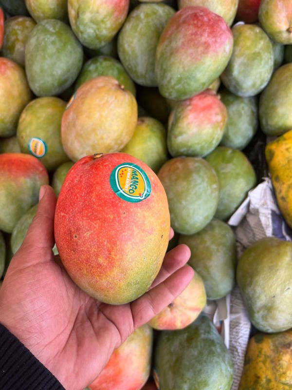 MANGUE KENT from Senegal