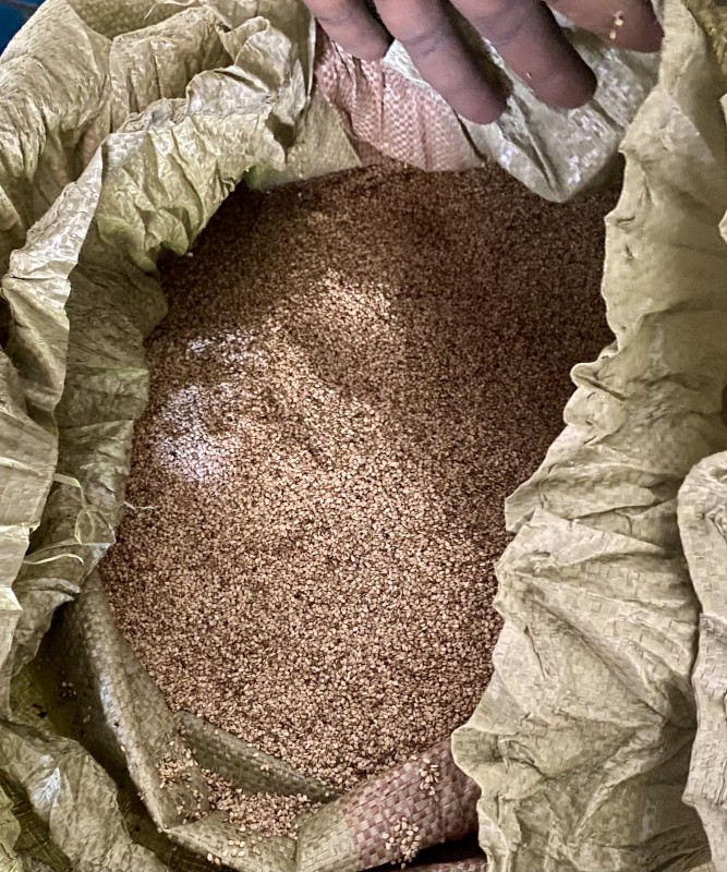 Sezam i Sorgo from Sudan Południowy