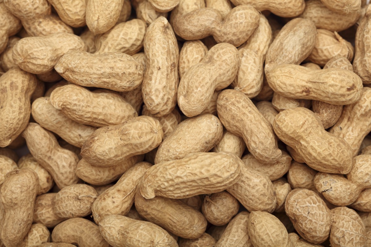 kacang tanah (peanut) from Sudan Selatan