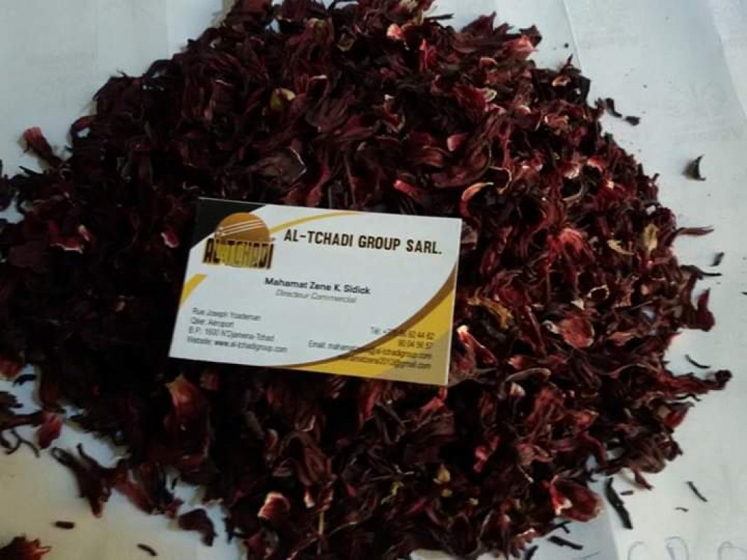 Kwiaty hibiskusa from Czad