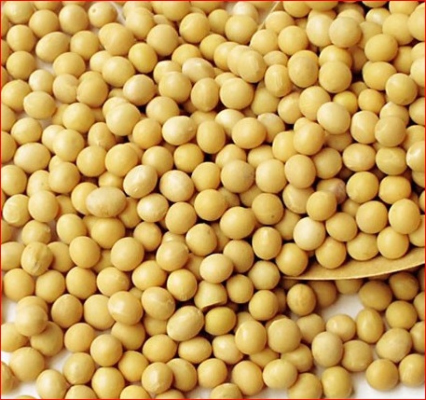 Sojaboon from Togo