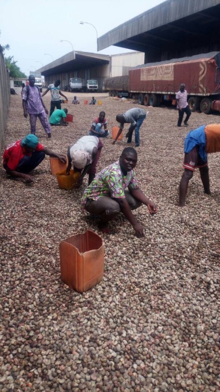 CACAU from Togo