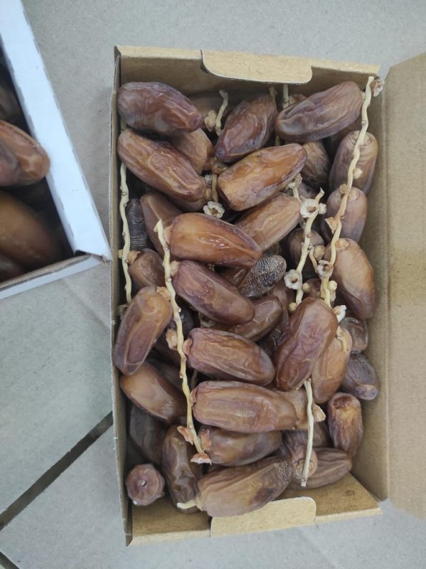 Wet Dates from Tunisia