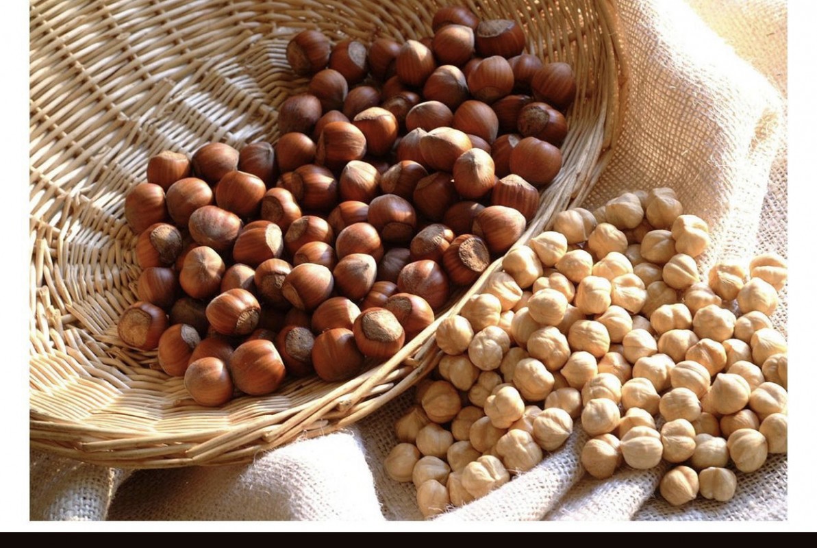 Hazelnuts from Turkey
