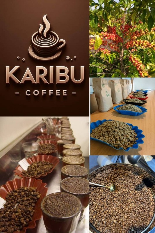Coffee Beans from Tanzania