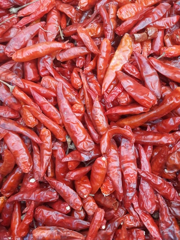 DRIED RED CHILLIES from Tanzania