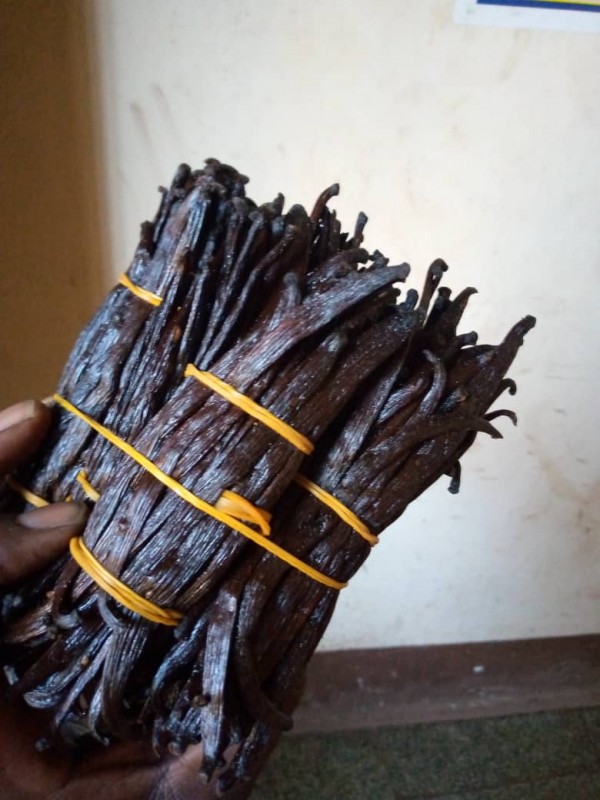 Vanilla from Tanzania