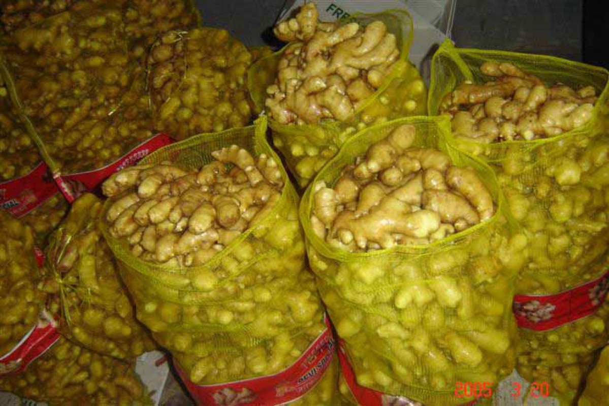 Fresh and Dry Ginger from Tanzania