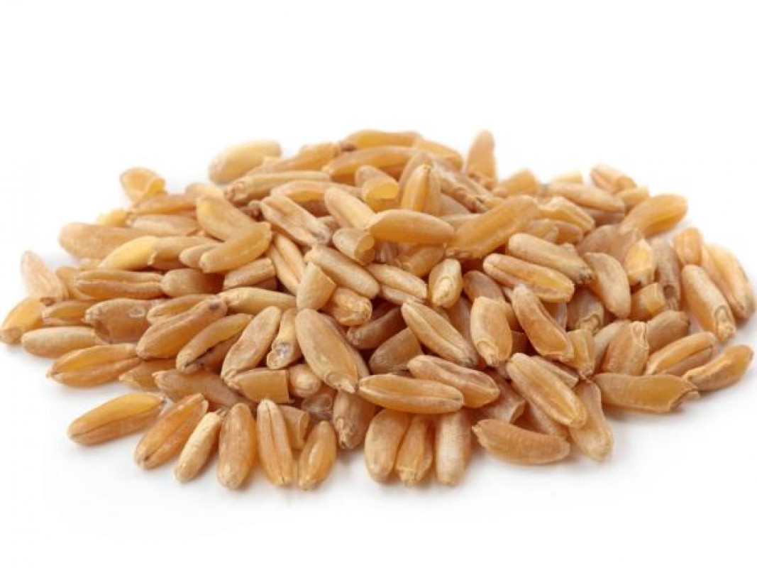 Grano de trigo from Tanzania