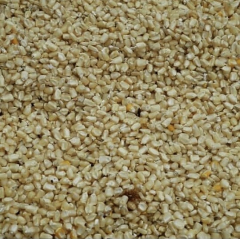Maize from Tanzania