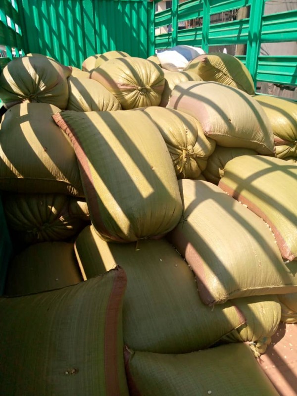 Maize froma Tanga-Tanzania from Tanzania