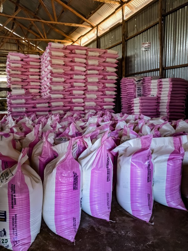 Maize (Corn) Flour from Tanzania