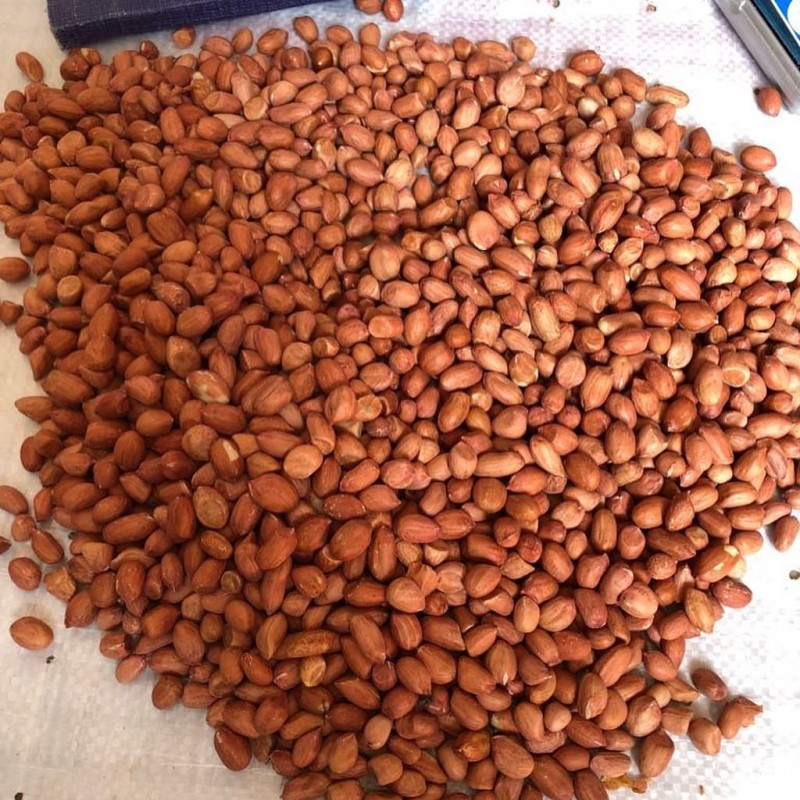 CACAHUÈTES from Tanzanie