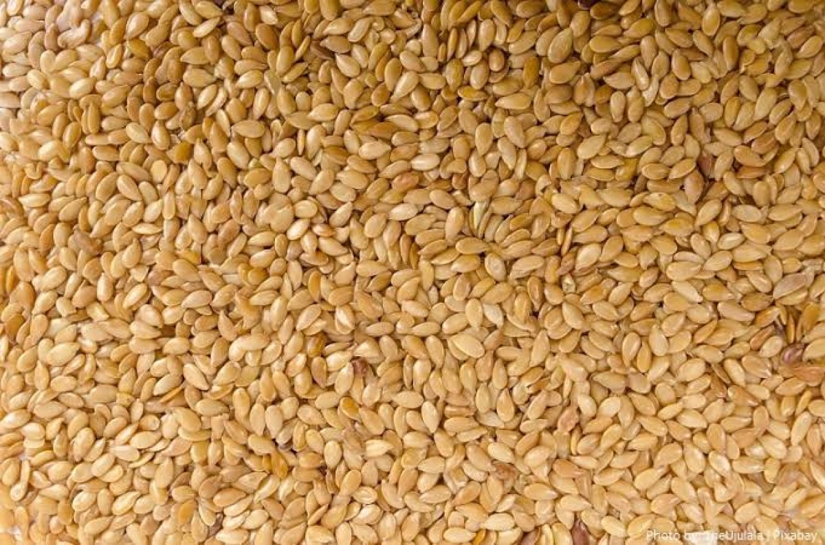 SESAME SEEDS FROM TANZANIA from Tanzania