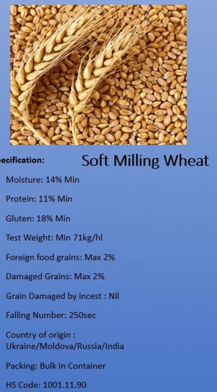 Wheat from Ukraine