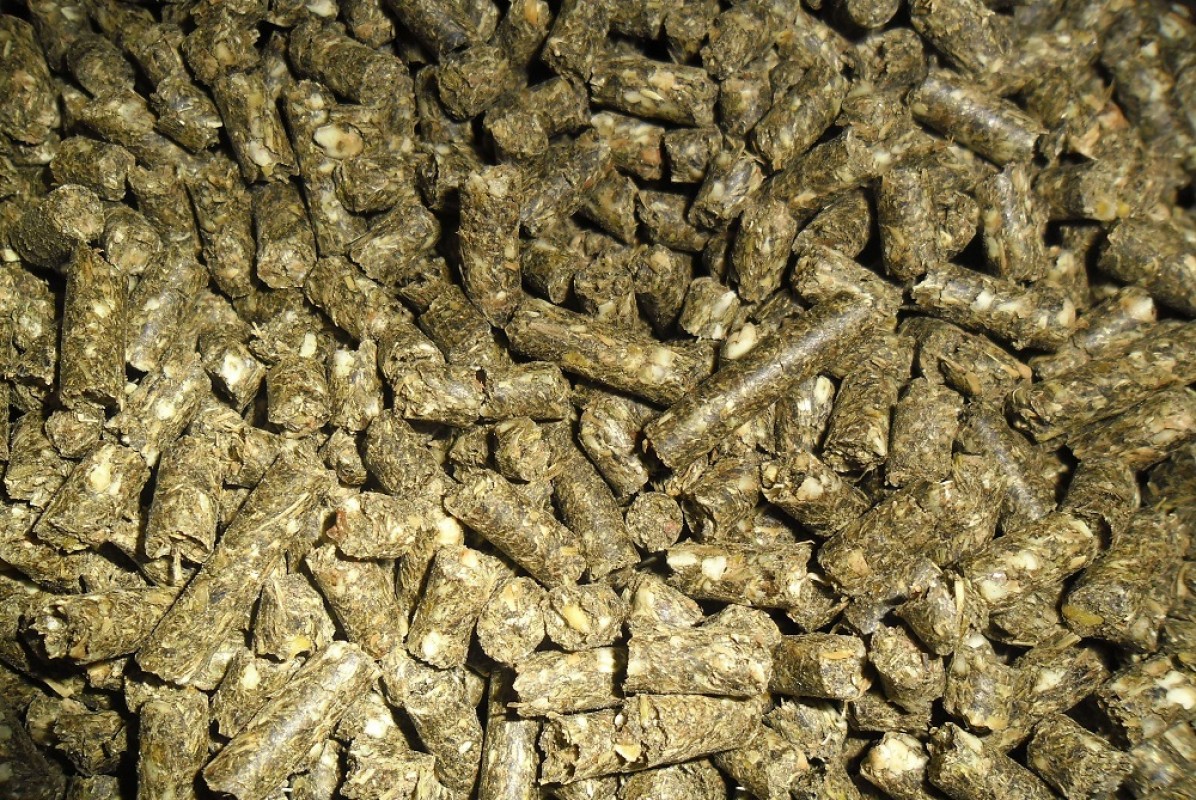 Sunflower Meal from Ukraine from Ukraine