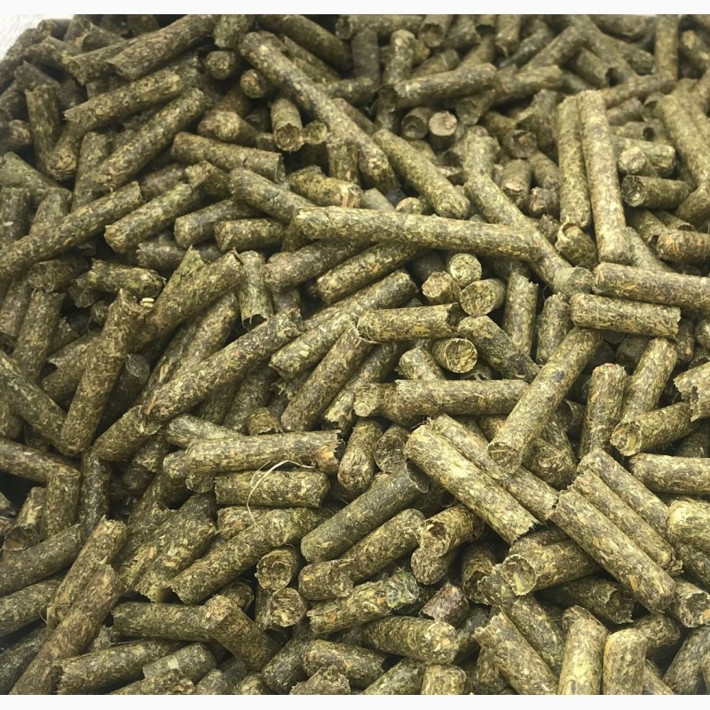 Alfalfa pellets from Ukraine