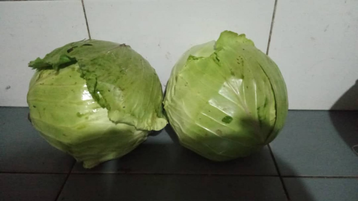 Kohlköpfe from Uganda