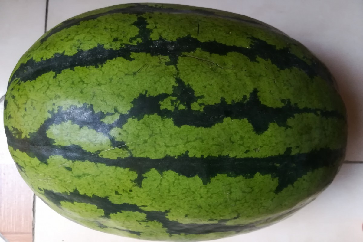Watermelon from Uganda