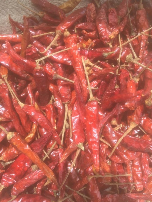 Dried Cayenne Chilli Peppers from Uganda