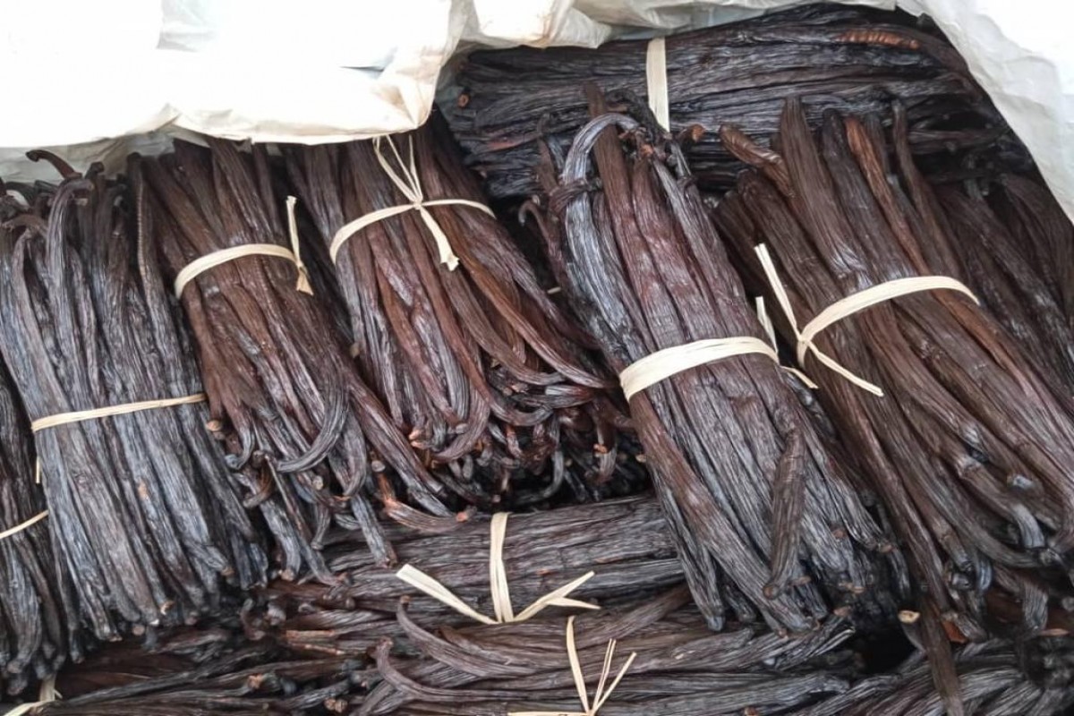 Vanilla beans from Uganda