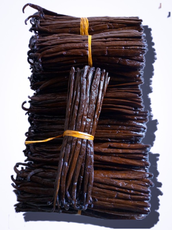 Laski wanilii from Uganda