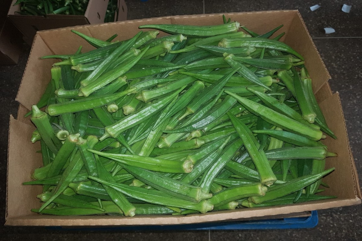 Okra from Uganda